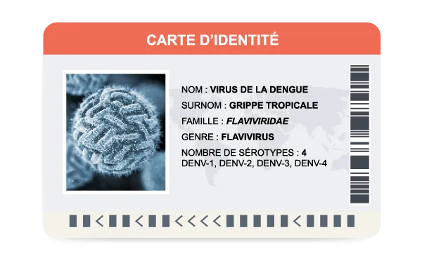 Carte d'identité du virus