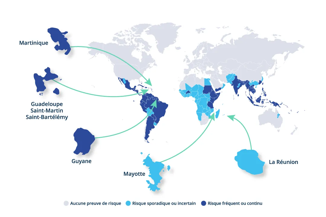 Dengue - Carte infection DOM TOM