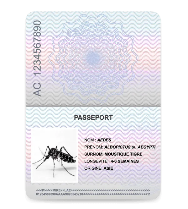Passeport du moustique tigre