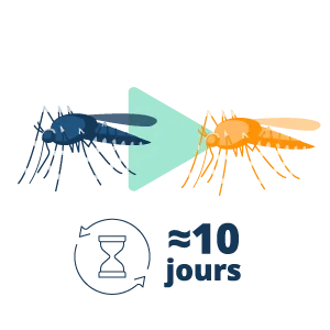 picto phase extrinsèque