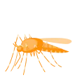 picto moustique infecté