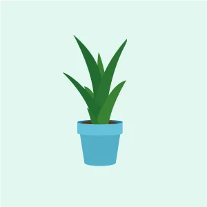 picto plante